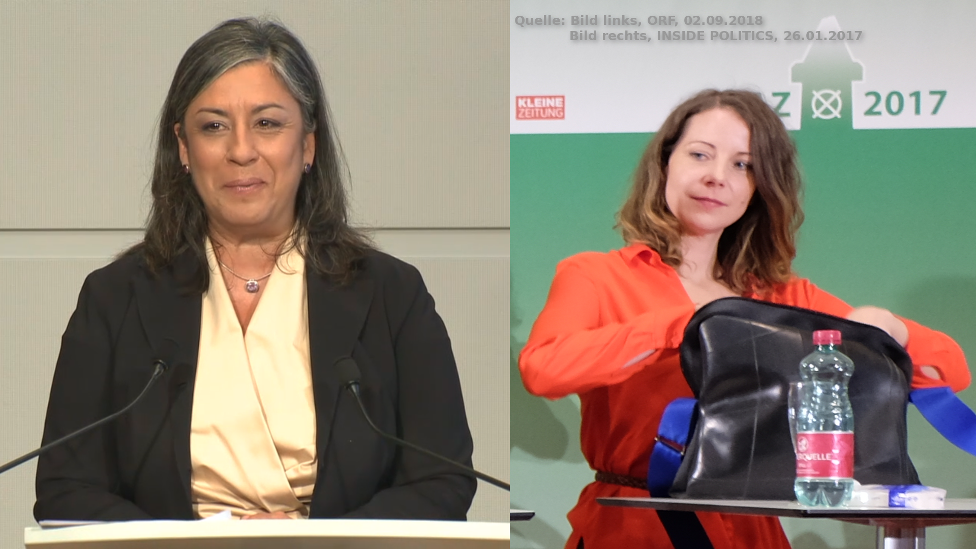 Vassilakou-Wirnsberger-Rücktritt