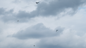 Eurofighter-Tiefflug-Bundesheer-Samitzteich-Graz-Dogfight