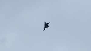 Eurofighter-Tiefflug-Bundesheer-Samitzteich-Graz-Dogfight