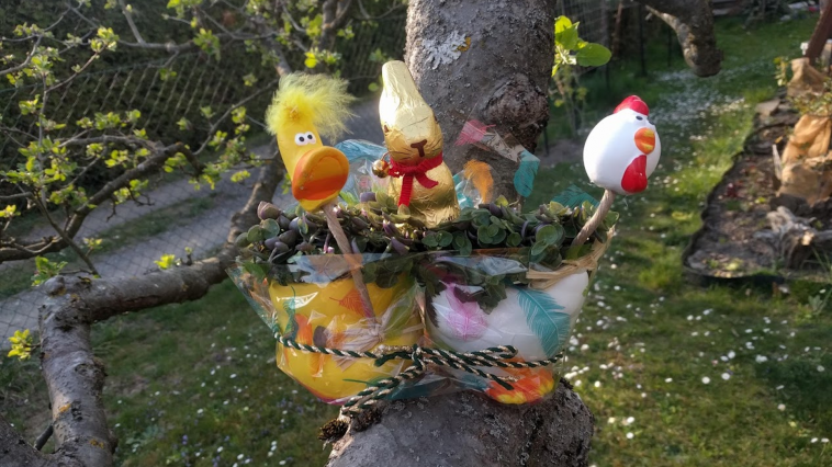 Ostern-2020-Baum-Nest